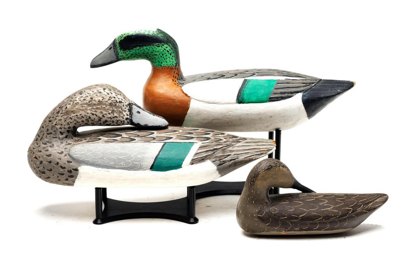 Jules Frederick – Wigeon – 2026