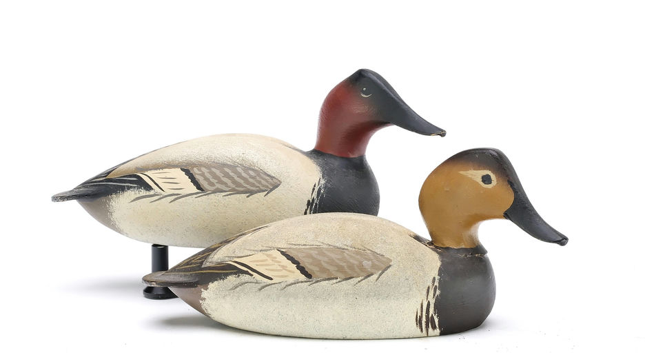 Oliver Lawson – Pair of Canvasback – 2025