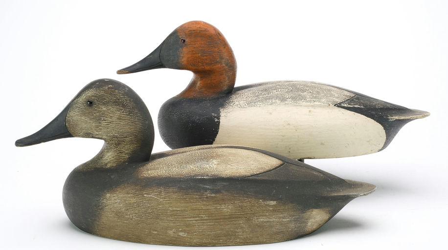 Ken Anger – Canvasback – 2024