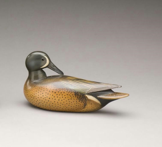 Bill Gibian – Preening Blue-Winged Teal – 2009