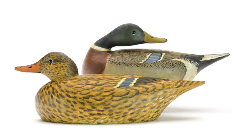 Reggie Birch – Mallard – 2024