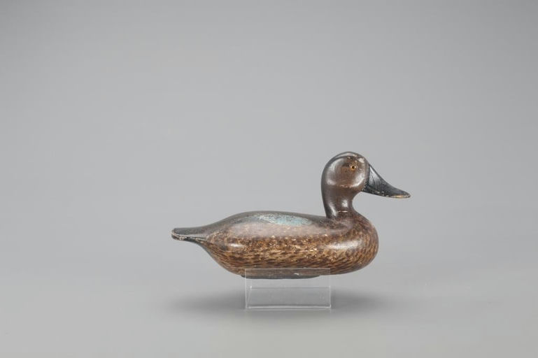 Glenn Cameron – Blue-Winged Teal – 2021