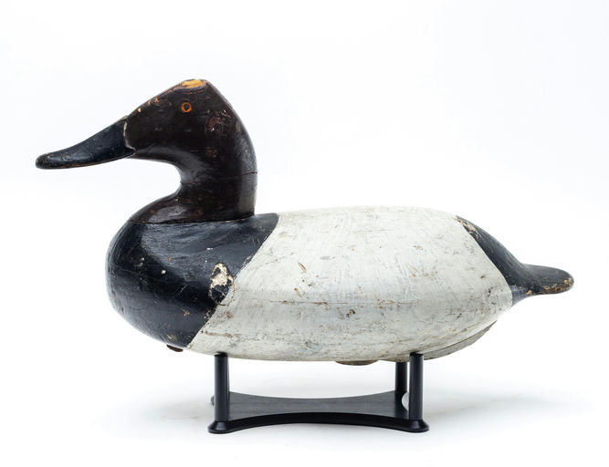 William Heverin – Canvasback – 2026