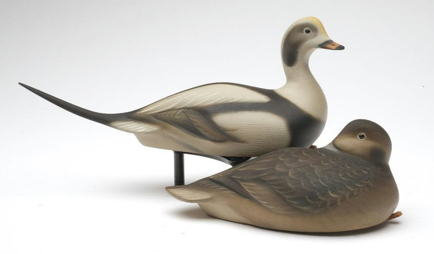 Sean Sutton – Miniature Pair of Long Tail Ducks – 2023