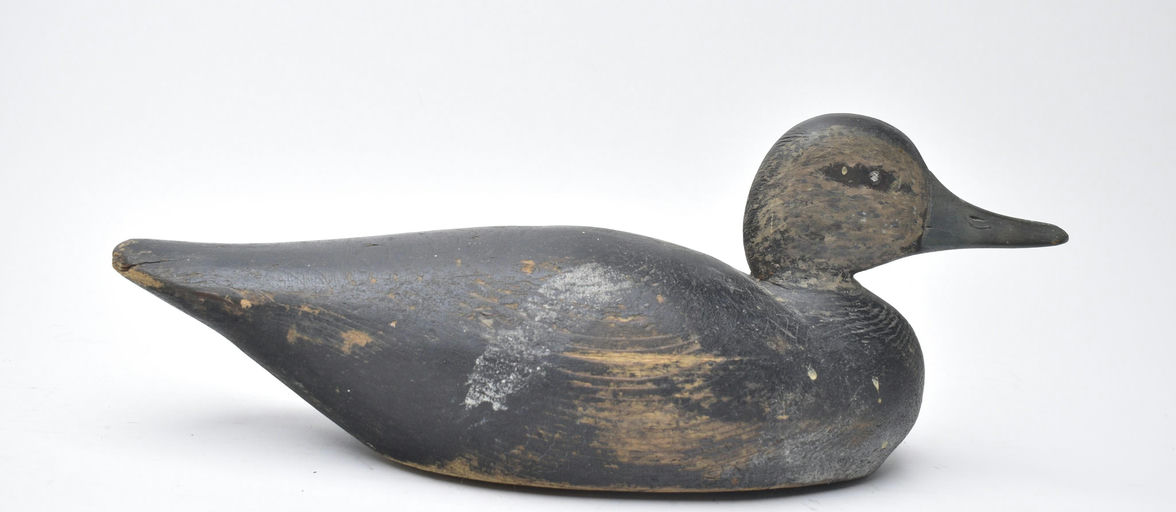 Elmer Crowell – Black Duck – 2025