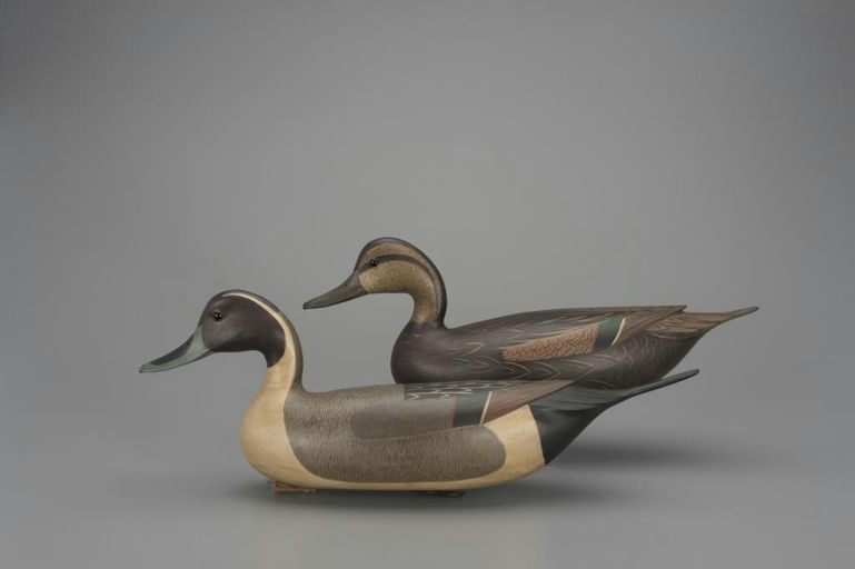 Bob White – Pintail Pair – 2018