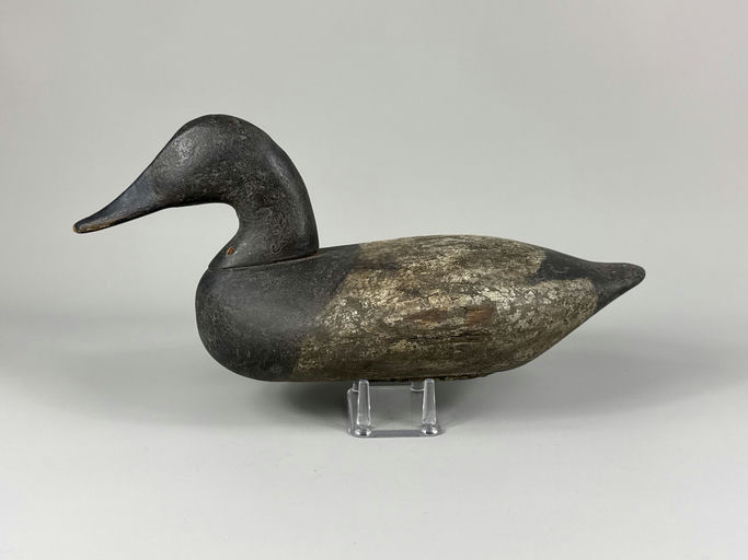 Holly Family – Canvasback – 2026