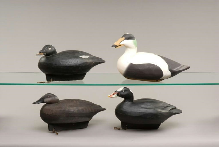 Jim Schmiedlin – White-Winged Scoter – 2009