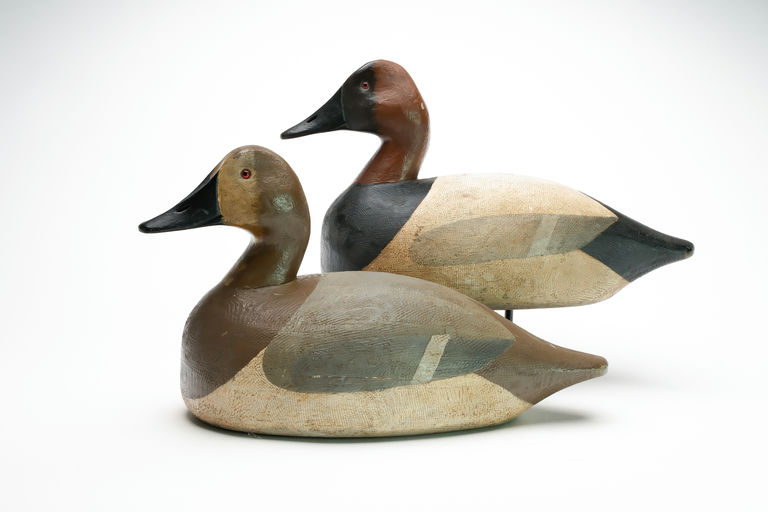 Frank Strey – Canvasback – 2026