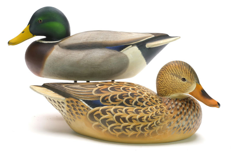 Ben A. Heinemann – Mallard – 2024