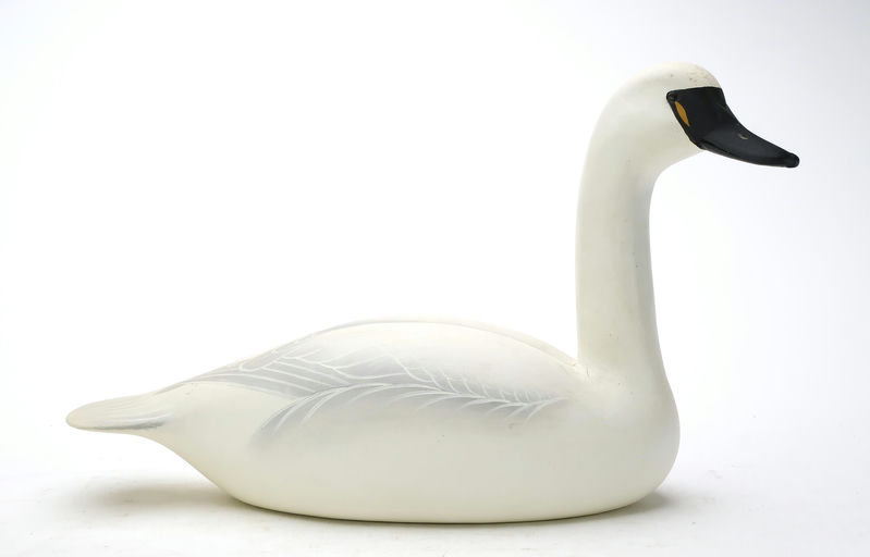 Charlie Joiner – Swan – 2025