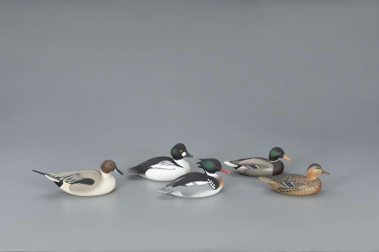 Oliver Lawson – Five Miniature Waterfowl – 2020