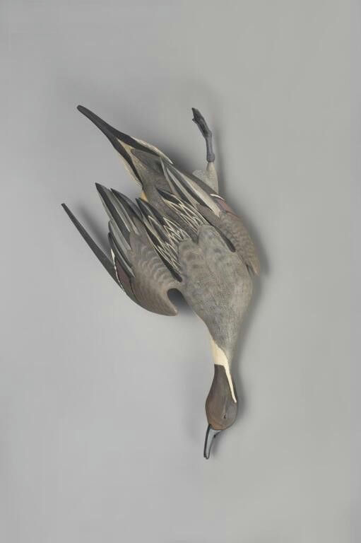 Cameron McIntyre – Hanging Pintail Drake – 2022