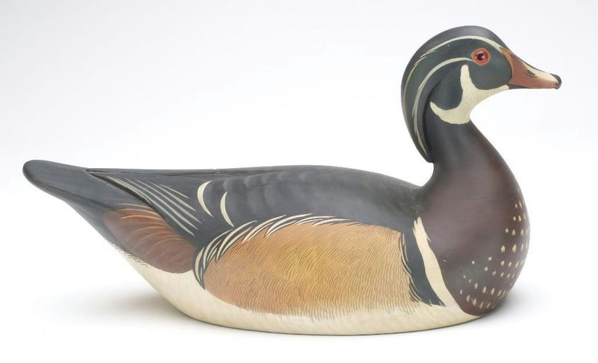 Josh Brewer – Wood Duck – 2023