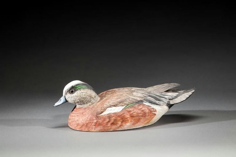 William J. Koelpin – Wigeon – 2016