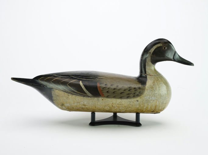 Charles Perdew – Pintail Drake – 2024
