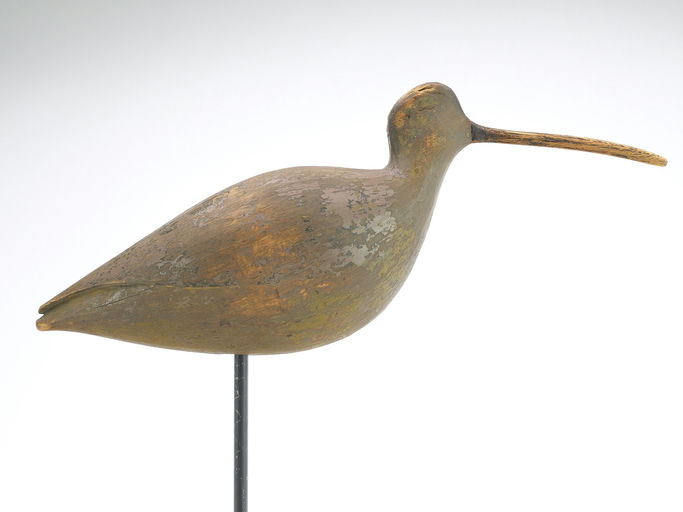 Eli Doughty – Curlew – 2024
