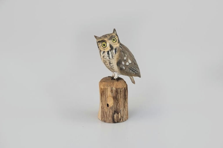 Peter Peltz – Miniature Great Horned Owl – 2026