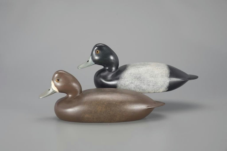 John McLoughlin – Bluebill Pair – 2024