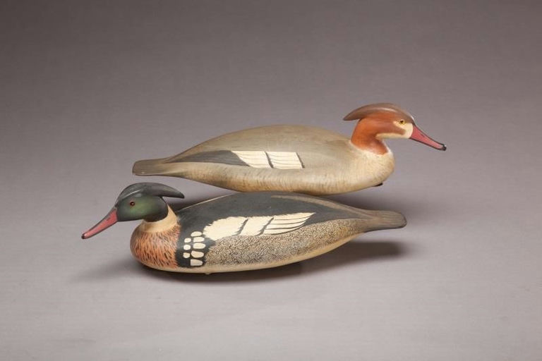Bob White – Red-Breasted Merganser Pair – 2012