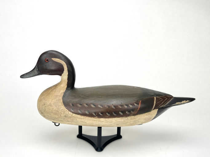 Charles Perdew – Restored Pintail – 2024