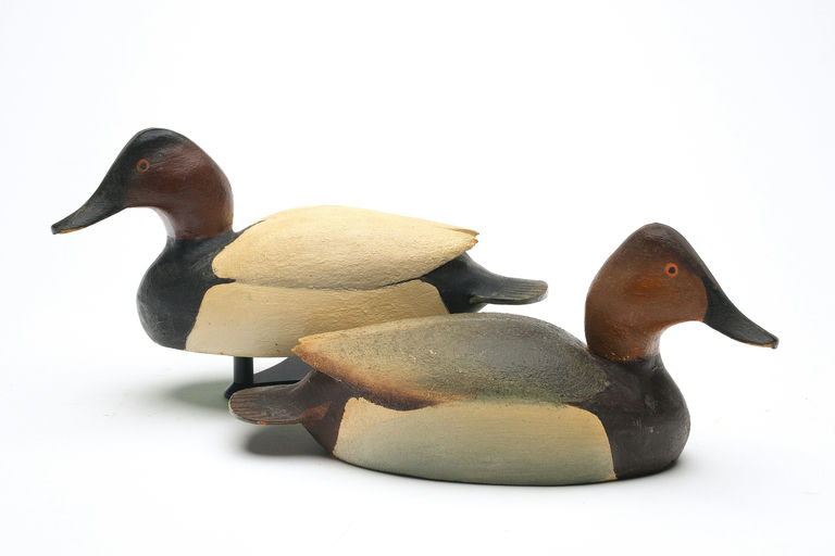 Ward Brothers – Pair of Canvasback – 2026