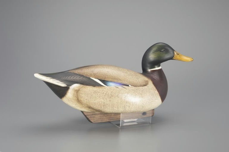 Jim Schmiedlin – Mallard Drake – 2024