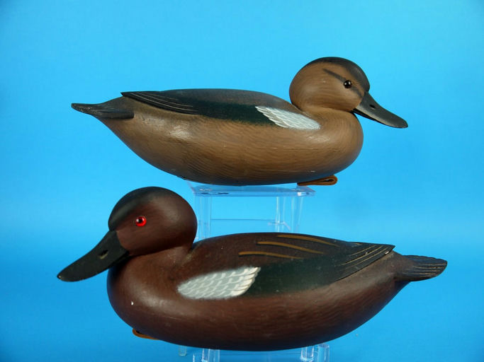 Rick Brown – Cinnamon Teal Pair, – 2026