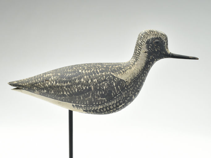 George Boyd – Black Bellied Plover – 2023