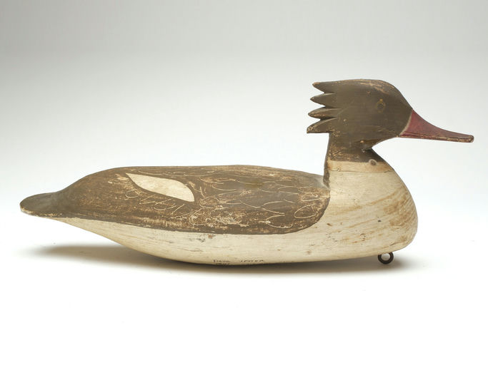 Doug Jester – Merganser – 2023