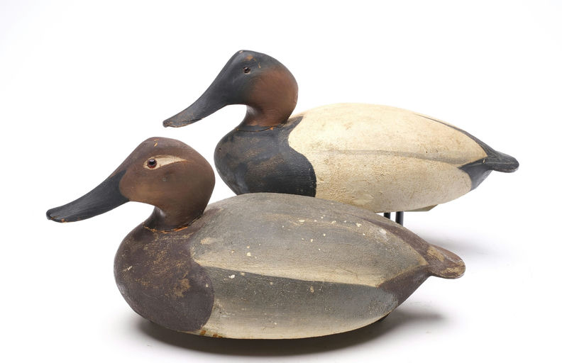 Ward Brothers – Pair of canvasbacks – 2026