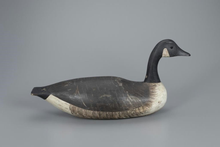 Joseph Lincoln – Mackey Swimming Canada Goose – 2020