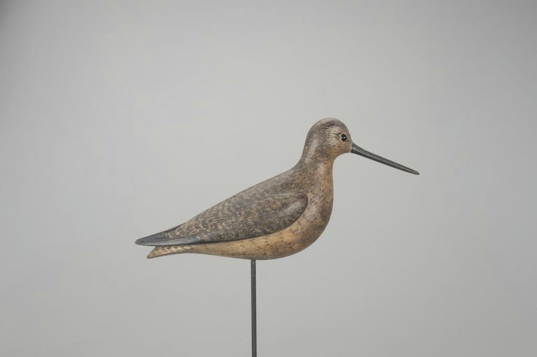 Mark McNair – Long-Billed Dowitcher – 2022