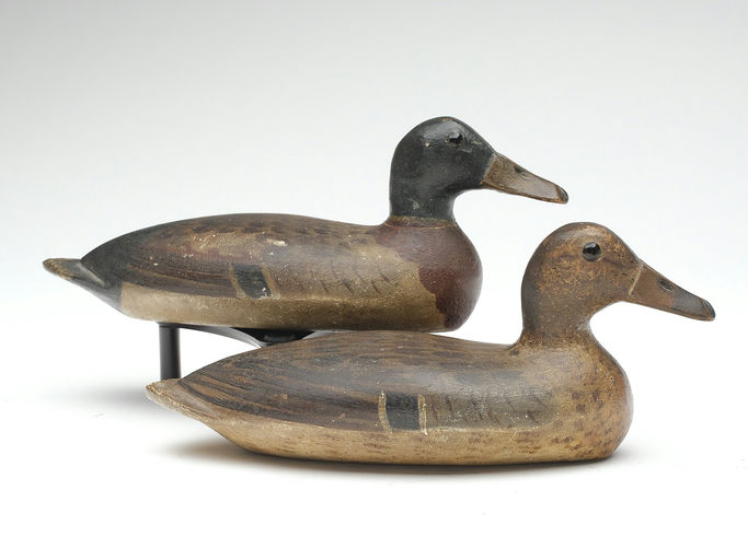 Bert Graves – Mallard – 2023