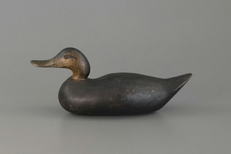 Mason Decoy Factory – Challenge-Grade Black Duck – 2025