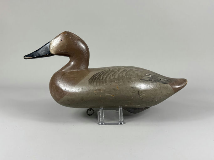 R. Madison Mitchell – Canvasback – 2026