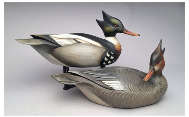 Sean Sutton – Excellent Pair of Mergansers – 2018