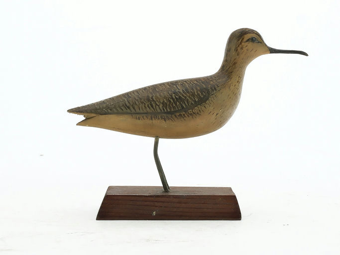 George Boyd – Curlew – 2025