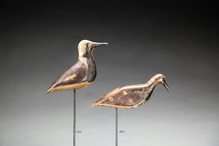 John McAnney – Ruddy Turnstone – 2016