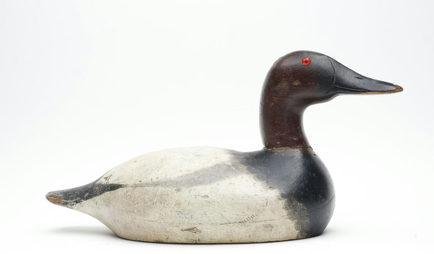 Mason Decoy Factory – Canvasback – 2026