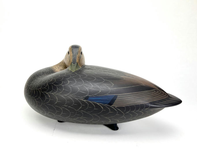 Keith Mueller – Preening Black Duck – 2024