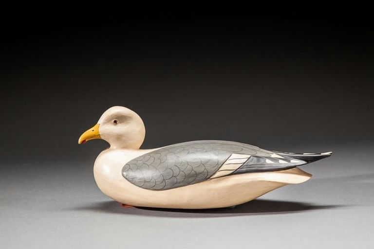 Bob White – Rare Gull – 2016