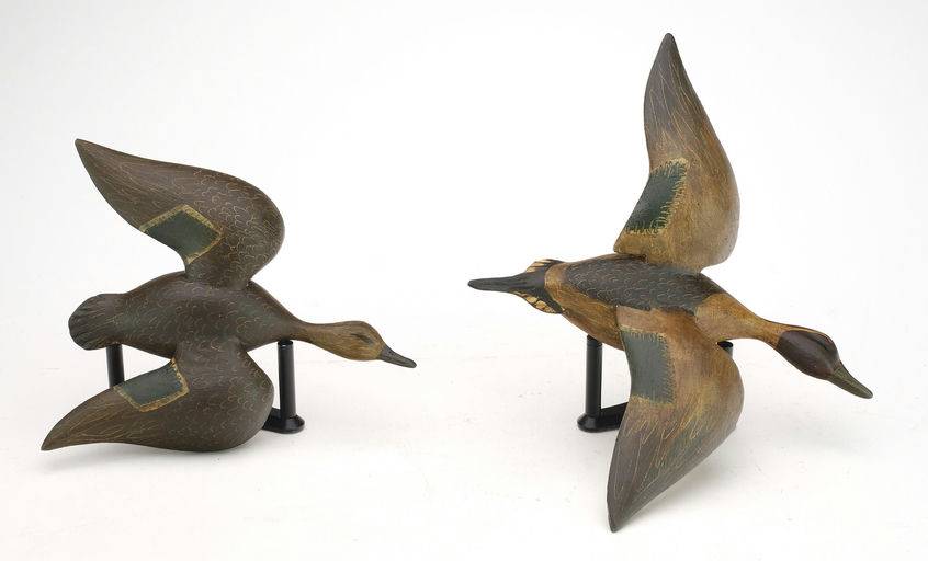 Reggie Birch – Black duck – 2024
