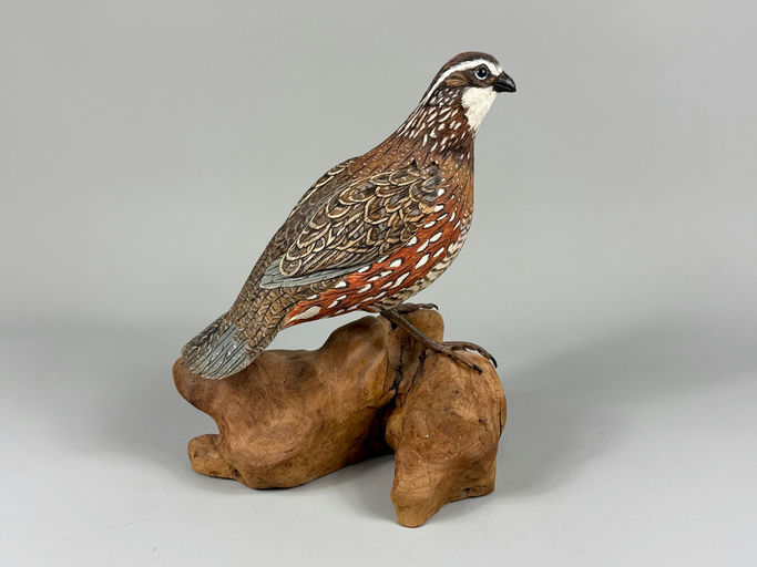 William Cowen – Quail – 2026