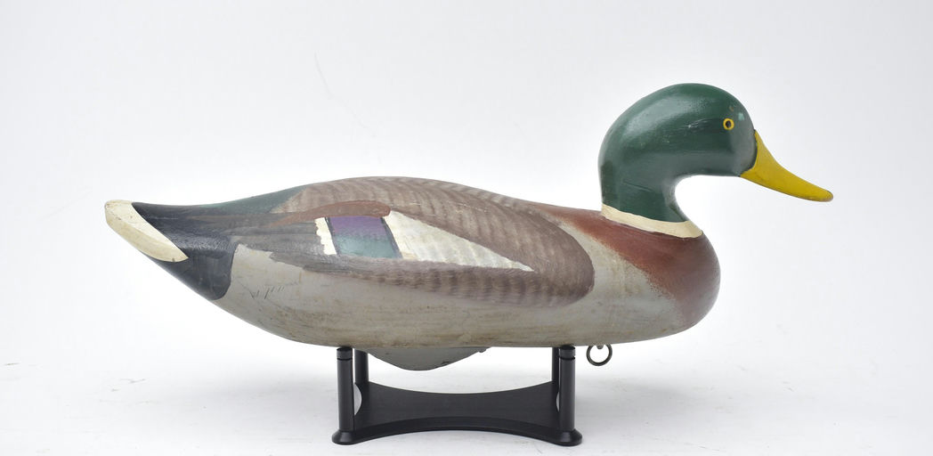R. Madison Mitchell – Mallard – 2025