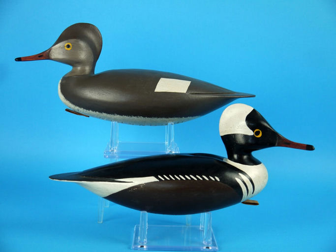 Hurley Conklin – Hooded Merganser Pair – 2026