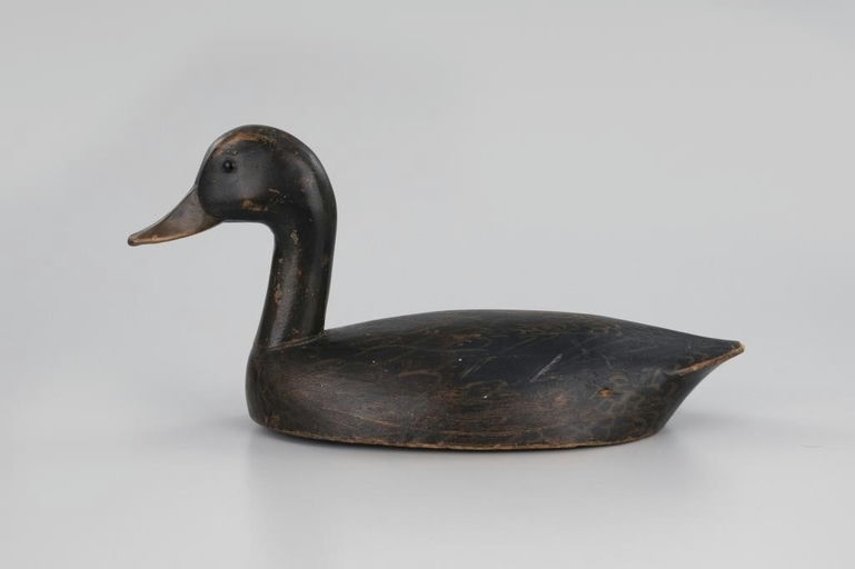 Vivian Rig – High-Head Black Duck – 2026