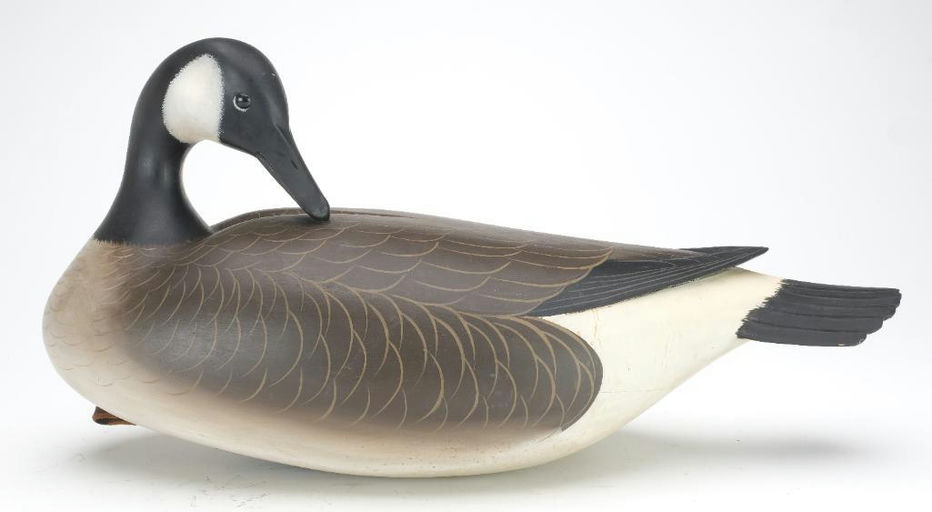 George Strunk – Preening Canada Goose – 2023