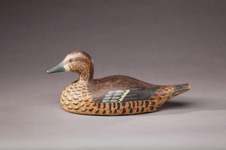 David S. Goodspeed – Blue-winged Teal Hen – 2012