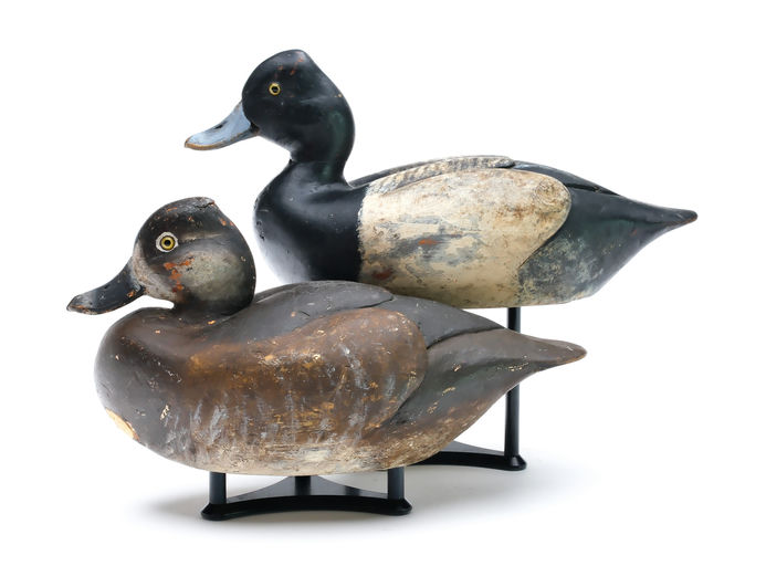 Owen Gromme – Scaup – 2025